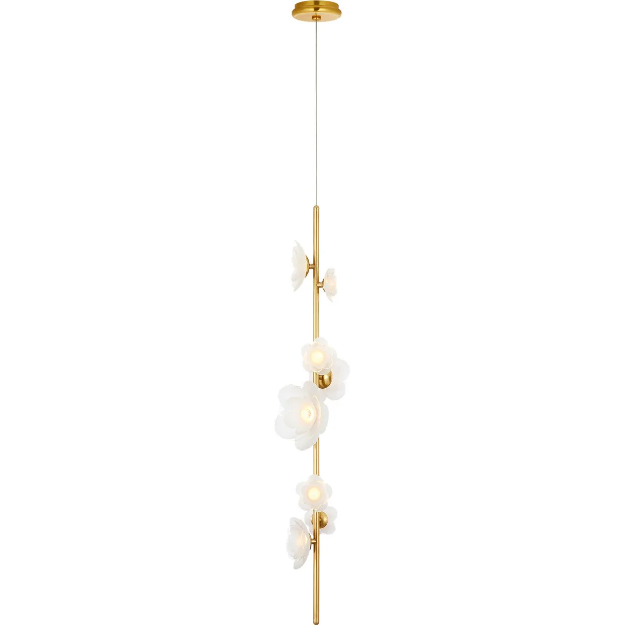Best Selling Lights